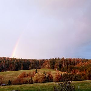 Svit: nohejbal 2026