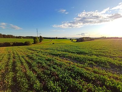 Vánoční večeře 2026